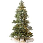 Balsam Hill Yukon Spruce Pre-Lit Artificial Tree in LED Micro