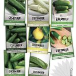 Cucumber Seed Assortment for Planting | 8 Variety Pack for Sale
