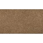 Memorable Touch II Capon Brown 50-oz sq yard Solution-dyed polyester Textured Indoor Carpet