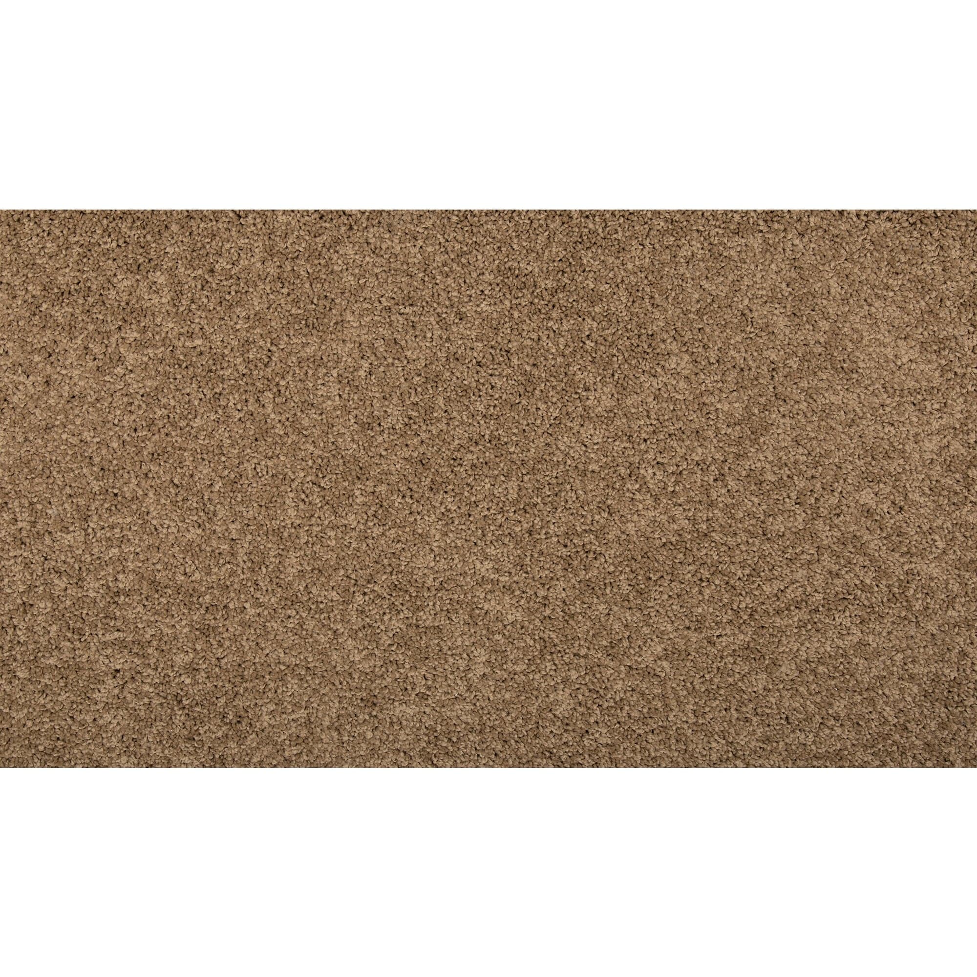 40abd6efd2e7bb4c01b423ef4e71f7ea58beeb292c8670e33768c9b47d028a16.jpg Memorable Touch II Capon Brown 50-oz sq yard Solution-dyed polyester Textured Indoor Carpet - Image 1