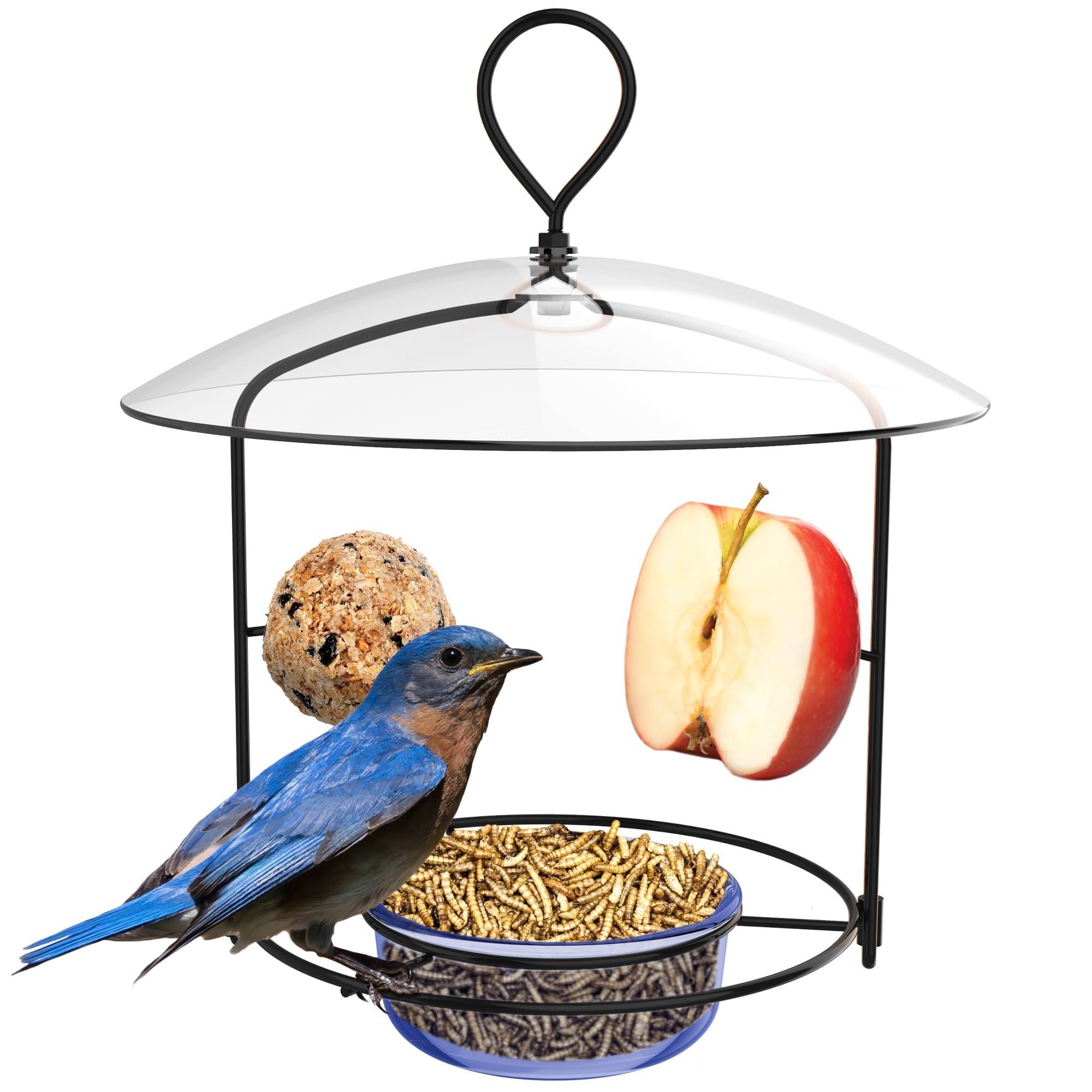 4181efe7193849a55f742ce6557d6c523290bcf197d7e33aa16f8cbb4574ab09.jpg Nature's Way BBFM1 Bluebird Buffet Metal Bird Feeder with Protective Baffle, Outdoor Wild Bird Feeder and D��cor, One Glass Dish with 3/4 Cup - Image 1