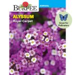 Burpee Royal Carpet Alyssum Flower Seed, 1-Pack, Brown
