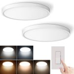 TALOYA 12 inch Dimmable Flush Mount LED Ceiling Light Fixture, 20W 2 Pack, 5 CCT in 1,3000K/3500K/4000K/5000K/6500K Selectable, Surface Low Profile