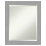 Amanti Art Brushed Nickel Framed Wall Mirror - 19.38 x 23.38 in