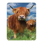 3D LiveLife Magnet - Highland Cattle from Deluxebase. Lenticular 3D Cow Fridge Magnet. Magnetic Decor for Kids and Adults with Artwork Licensed from