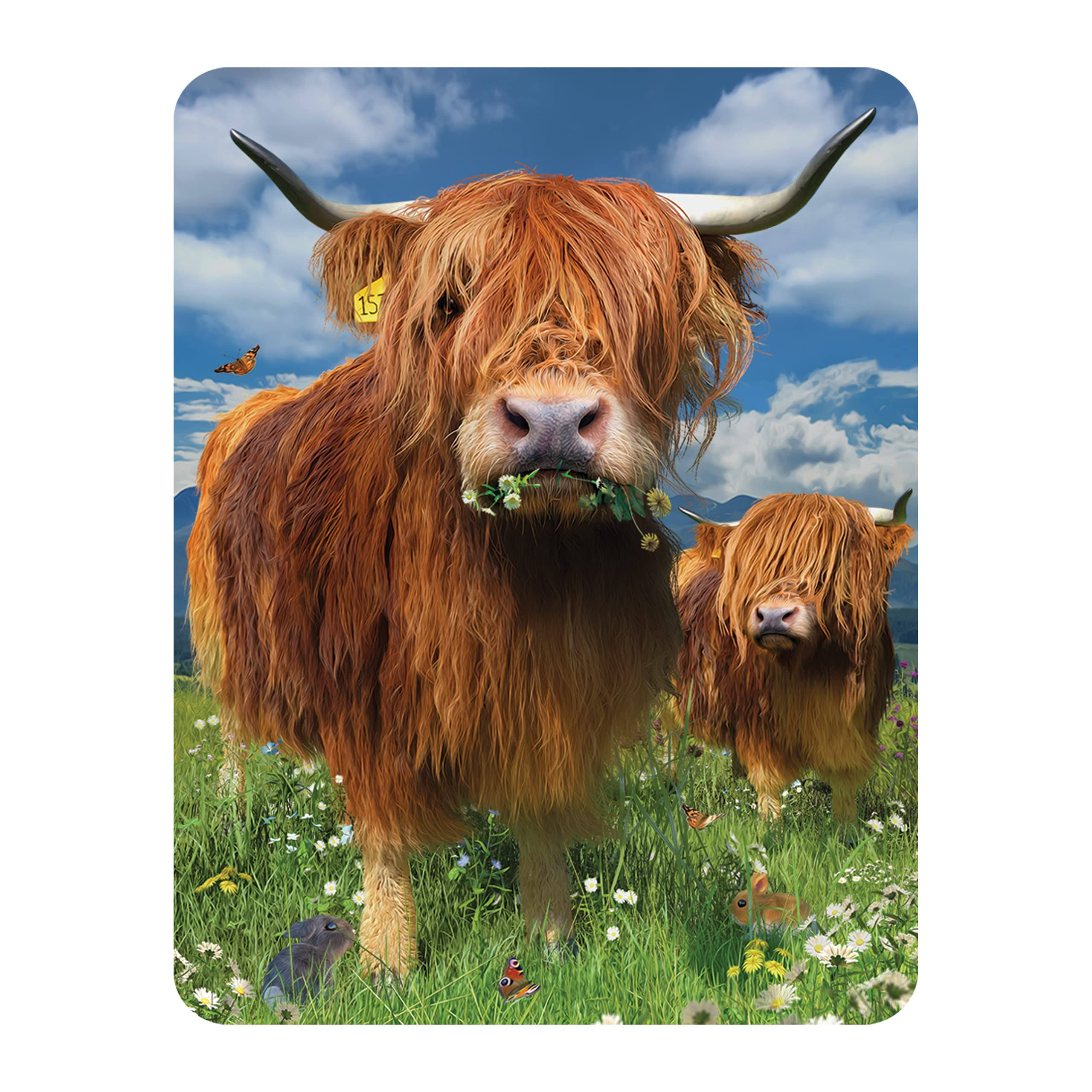 45cd2f50169b7f06a64a9c3d04a8b5333d12520c92a7da170e05377040279470.jpg 3D LiveLife Magnet - Highland Cattle from Deluxebase. Lenticular 3D Cow Fridge Magnet. Magnetic Decor for Kids and Adults with Artwork Licensed from - Image 1