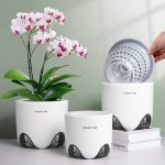 Meshpot 6 inch Orchid Pots with Holes,Set of 1,Double Layer Plastic Imitate Ceramic Orchid Planter Provide Good Air Circulation,Clear Orchid Pot
