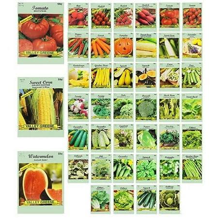 4acc761d9c11bb4691a912a1e7aa7ab34f8e15a6ac9d543b4a6211db3c5446dc.jpg Set of 43 Assorted Vegetable & Herb Seeds - Create A Deluxe Garden All Seeds Are Heirloom - 100% Non-GMO - Heirloom - Image 1