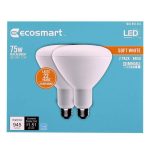 Ecosmart 75-Watt Equivalent BR40 Dimmable Energy Star LED Light Bulb Soft White (2-Pack)