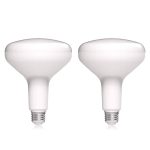 Ecosmart 75-Watt Equivalent BR40 Dimmable Energy Star LED Light Bulb Bright White (2-Pack)