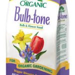 4lb Bulb Tone