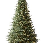 Balsam Hill Balsam Fir 6.5-Foot Pre-Lit Artificial Tree in Green