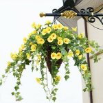LIZHOUMIL Artificial Hanging Flower,Fake Plastic Faux Flower Morning Glory Fabric Vine Petunia for Indoor Outdoor Garden Porch Eave Wedding Wall