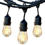 Brightech Ambience Pro Edison Black LED Waterproof Outdoor String Lights, 48 ft.
