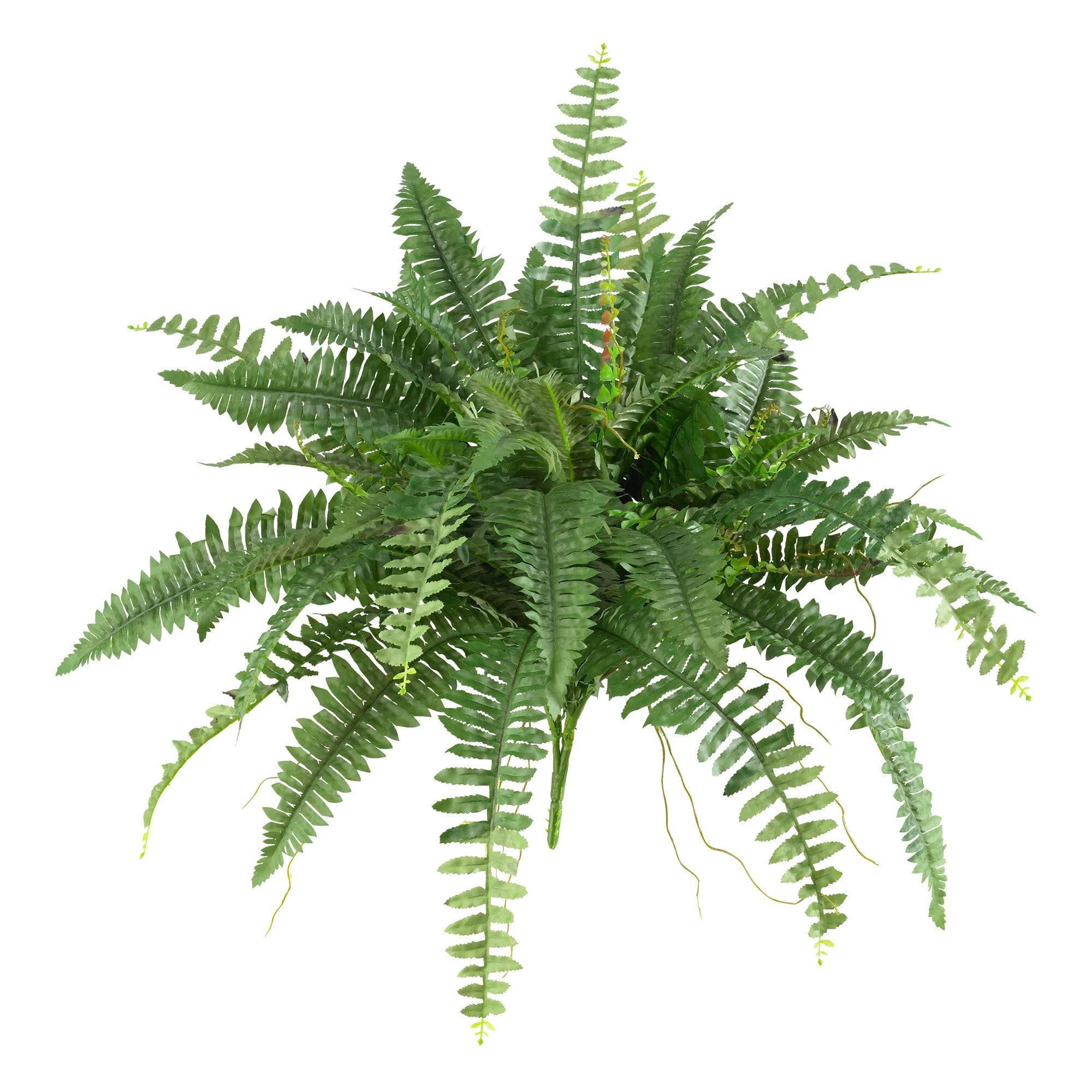 52aed6a3207c42a1bb1ceaa93be68012c0f776b13db625e4548f88940d6874bd.jpg Nearly Natural Home Decor 40" Boston Fern - Set of 2 - Image 1