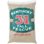 Barenbrug 16205 Kentucky-31 Tall Fescue Grass Seed, 5 lbs