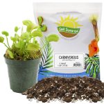 Carnivorous Plant Potting Soil Mix, Ideal Amendment for Venus Fly Traps, Sundews, and Pitcher Plants 2 Quarts