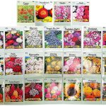 Set of 25 Flower Seed Packets Including 10 or More Varieties Forget Me Nots, Pinks, Marigolds,