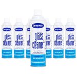 Sprayway 19oz Glass Cleaner