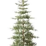 Balsam Hill Alpine Balsam Fir 6.5-Foot Pre-Lit Artificial Tree in Green