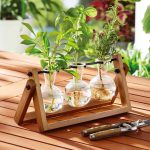 Better Homes & Gardens Painted Rectangle Glass and Wood Propagation Station Set, 11.3 in L x 4.3 in W x 5.5 in H, Size: 11.3 in Large x 4.3 in W x 5.5