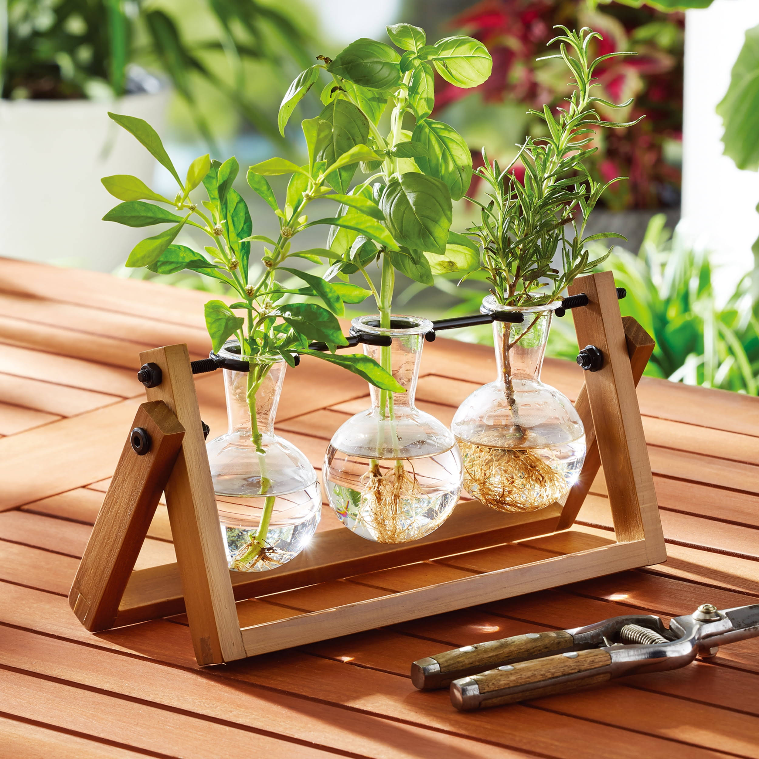 5d8d33947f5cf198a79d195b2c3f0881103b7d92efba71e1a56c4a1116fbbcde.jpg Better Homes & Gardens Painted Rectangle Glass and Wood Propagation Station Set, 11.3 in L x 4.3 in W x 5.5 in H, Size: 11.3 in Large x 4.3 in W x 5.5 - Image 1