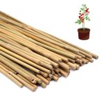 POLIUMB 50pcs Plant Stakes,16 inch Natural Bamboo Stakes,Garden Stakes for Indoor and Outdoor Plants,Poles Sticks for Tomatoes,Beans,Flowers,Trees