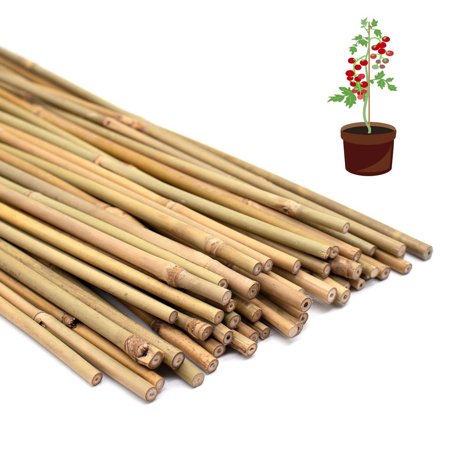 5f2e0411337855383bd1a568b641cbb1220fc8866f7b1971f46d8ca36fe24ac5.jpg POLIUMB 50pcs Plant Stakes,16 inch Natural Bamboo Stakes,Garden Stakes for Indoor and Outdoor Plants,Poles Sticks for Tomatoes,Beans,Flowers,Trees - Image 1