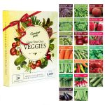 Grow Your Own Vegetables 20 Packet Variety, Garden Pack ÿ High Yield Easy Seed Starter Kit for Growing Veggies at Home ÿ Gardner Set with 8,000