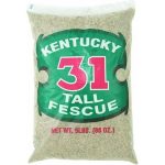 Barenbrug Kentucky 31 Tall Fescue Grass Seed 1000 sq. ft. Polybagged 5 lb., Size: 5 lbs, Brown
