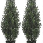 Two 3 Foot Outdoor Artificial Cedar Trees Potted Plants