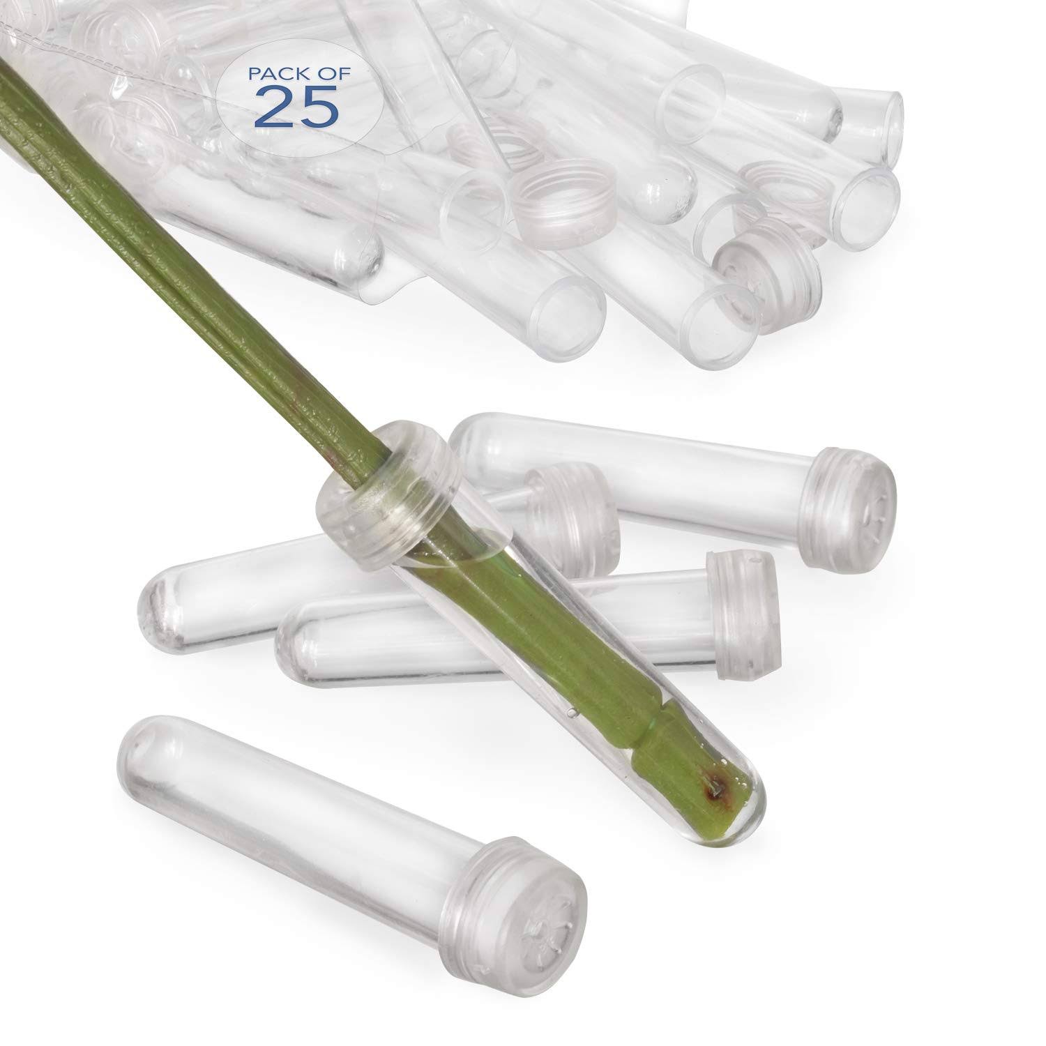 60315dc434a61fad3ec9f432625c4870f226d084a499f01ae1fe474932908682.jpg Royal Imports Floral Water Tubes/Vials for Flower Arrangements, Clear 3" (1/2" Opening) Standard 25/Pack w/Caps - Image 1