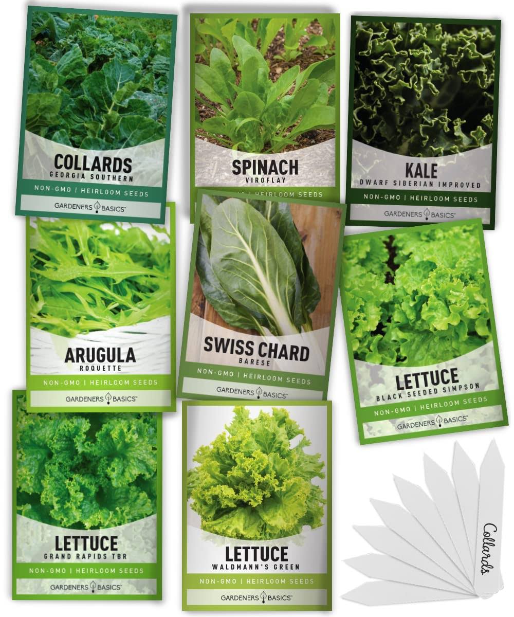 60f903bd67a82ce3a8b42dd1572f64953071f67bfa162e7f1dc72e4bfd07ae9e.jpg 8 Leafy Garden Greens Seeds for Planting Individual Packets - Arugula, Collards, Spinach, Swiss Chard, Kale, Lettuce, Leafy and Butter Lettuce Seeds F - Image 1