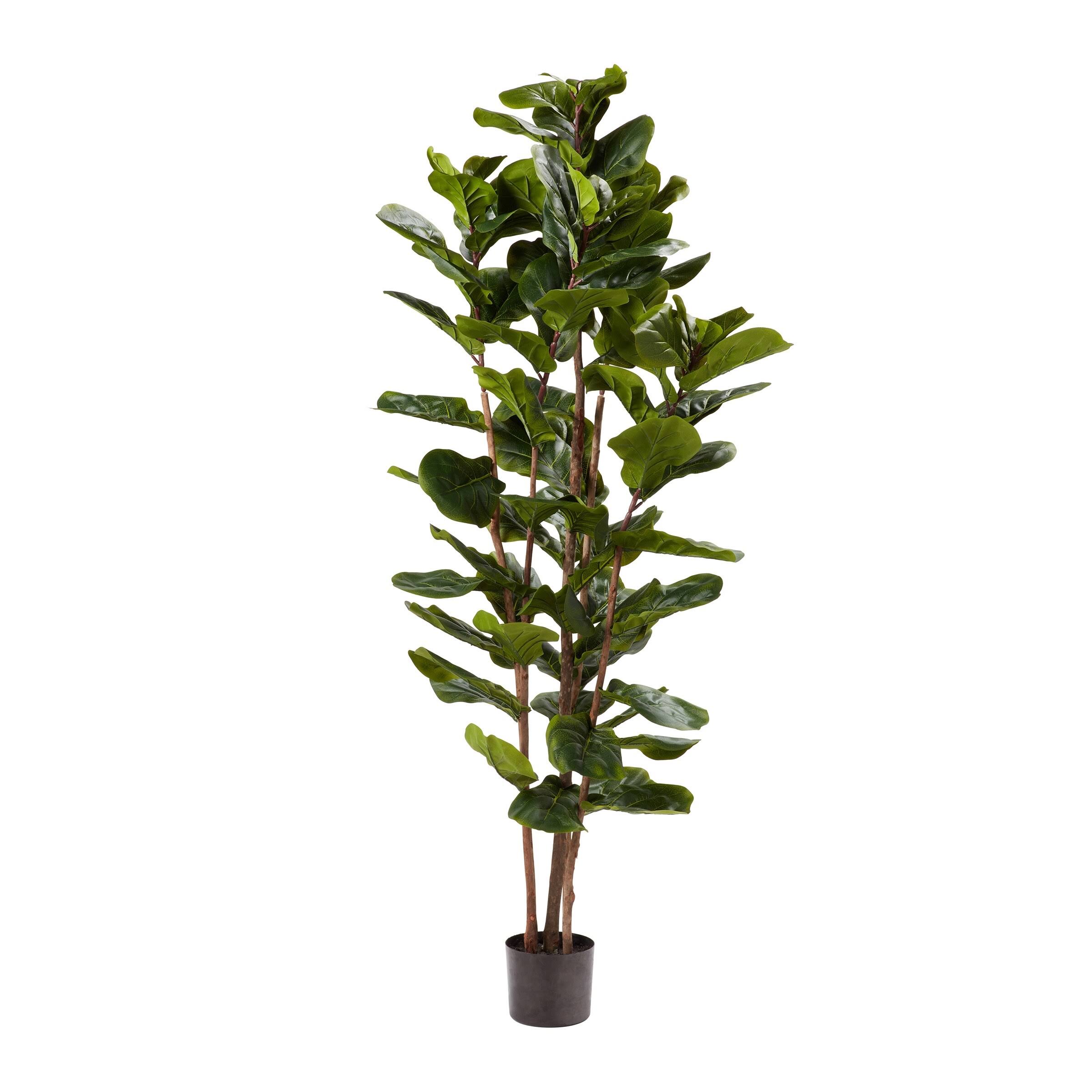 6237cc18ff08abe7d6dd64c39a5dd4072467c7af73775e02e0ef370cf2e9fec9.jpg Pure Garden Faux Plant Natural Feel Leaves-Realistic Indoor Potted Topiary-Home Decor Artificial Fiddle Leaf Fig Tree-72, Green - Image 1