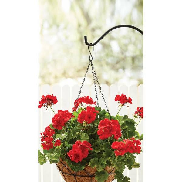 636307e5651756e9738a05acaf609b3c8c3c16319cfb35271beb16ec49a5b8cc.jpg Mainstays Black Metal Planter Hanger Replacement Chain with Hook - Image 1