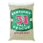 Barenbrug Kentucky 31 Tall Fescue Grass Seed 5 lbs