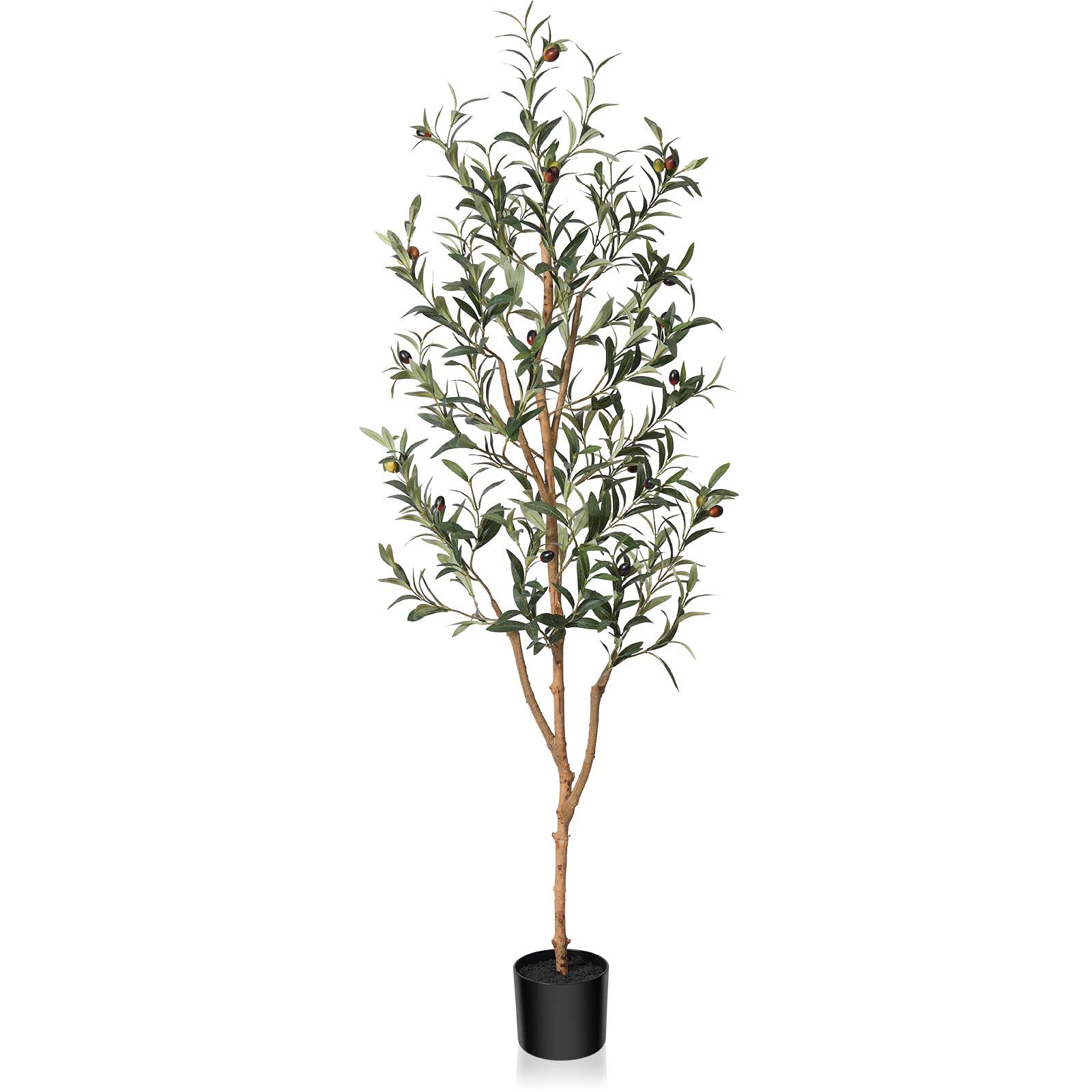 675e4611ad3b11c1c61dd5f283b1c03a1c782287fa3a2cf3bc08cfb23b035760.jpg Kazeila Artificial Olive Tree 5ft Tall Faux Silk Plant for Home Office Decor Indoor Fake Potted Tree with Natural Wood Trunk and Lifelike Fruits - Image 1