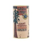 Giant Sequoia Tree Seed Grow Kit The Jonsteen Company