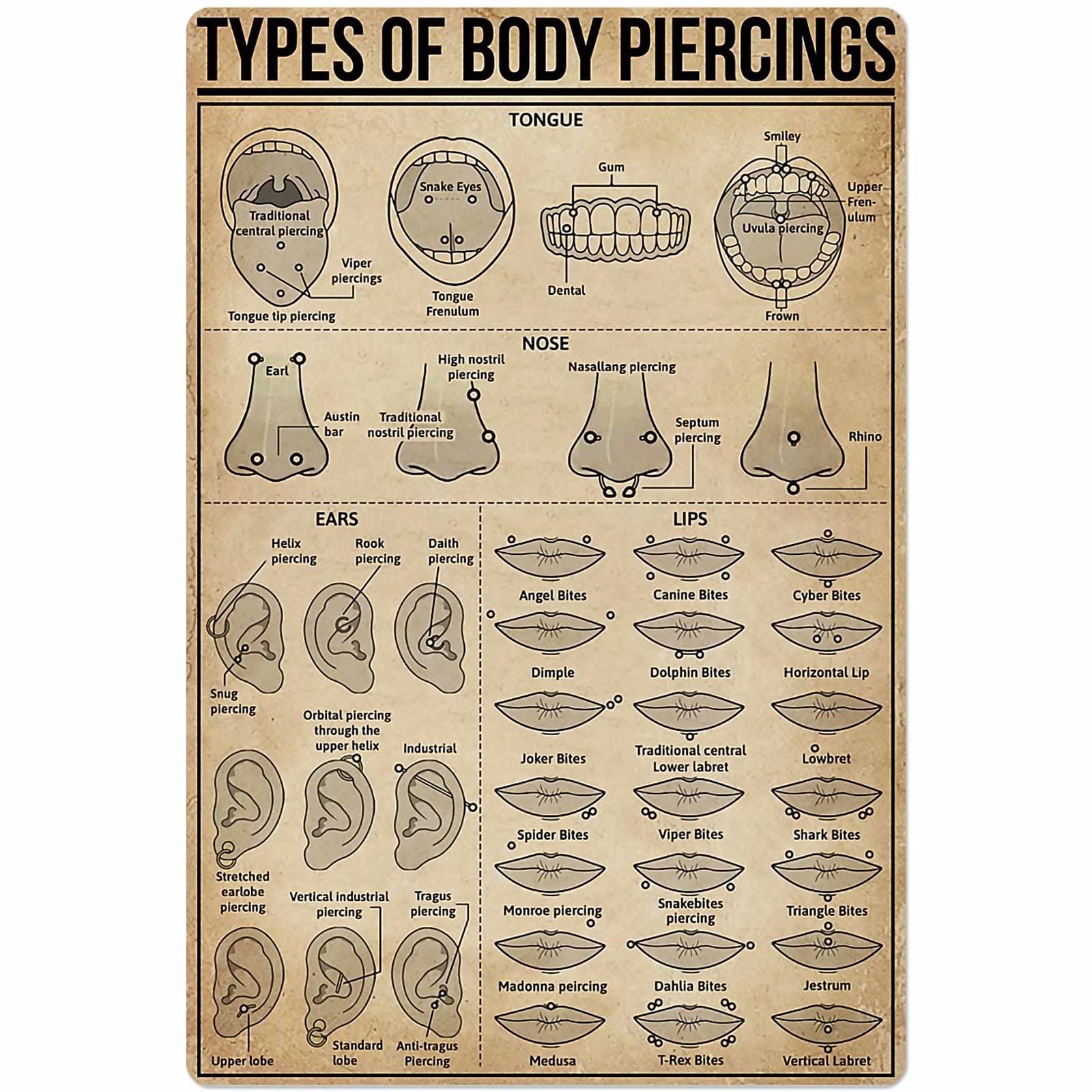 69ffae6a87dc6c1bd53d523fb1bc5f82e93f5c9ceaf5eb563239141b0cf6cf67.jpg Types of Body Piercings Tin Sign Knowledge Popular Science Poster School Farm Garden Hospital Information Table Bar Garage Club Home Wall Decoration - Image 1