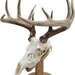 Walnut Hollow Solid Oak Skull Mount Kit
