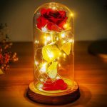 Norcalway Mom Gifts for Mothers Day from Daughter, Son, Husband - Beauty and The Beast Rose in Glass Dome - Birthday Gifts, Wedding, Anniversary