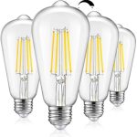 TOBUSA Vintage LED Dimmable Edison Light Bulbs 100W Incandescent Equivalent, 8W 1200Lumens, E26 Base LED Filament Bulb, 5000K Daylight White, ST64/ST21