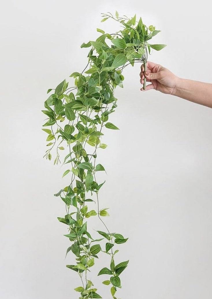 6f378cdd65104d2ad467a99090a2c01eabd270d47b9dcfe9395a1e21583c0c64.jpg Artificial Plants Hanging Tradescantia Houseplant - 41" - Image 1
