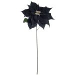 Ashland Poinsettia Stem - Black - Each