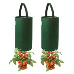 Pri Gardens Upside Down Tomato Planter, 2- Pack(Requires Plants,Soil and Fertilizer, Not Included)