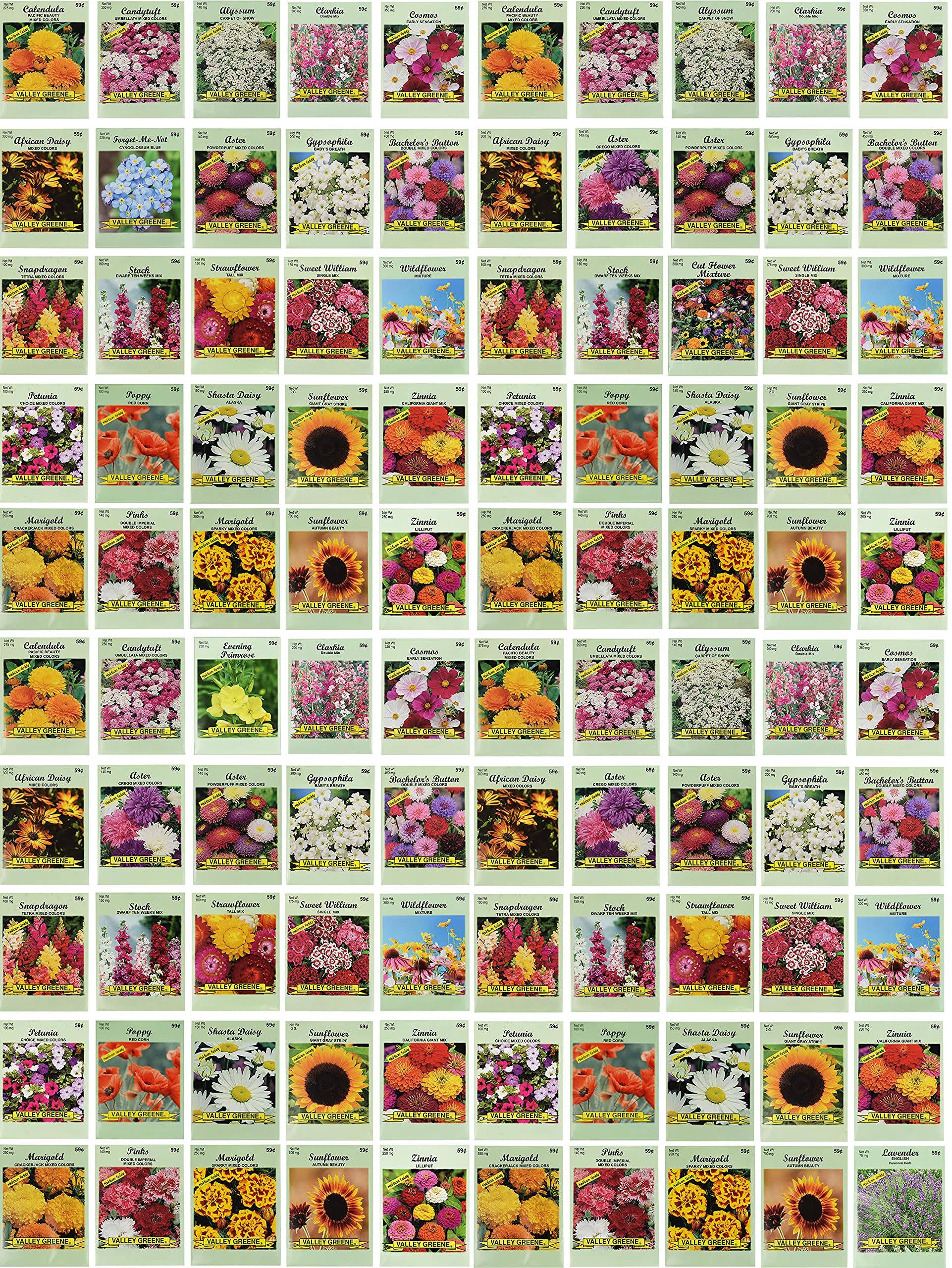 72c57609406e5f4676ba9cb72d3bcfa086c6a35411ba5054a727fd8257a3c199.jpg Set of 100 Assorted Valley Green Flower Seed Packets! Flower Seeds in Bulk - 20+ - Image 1