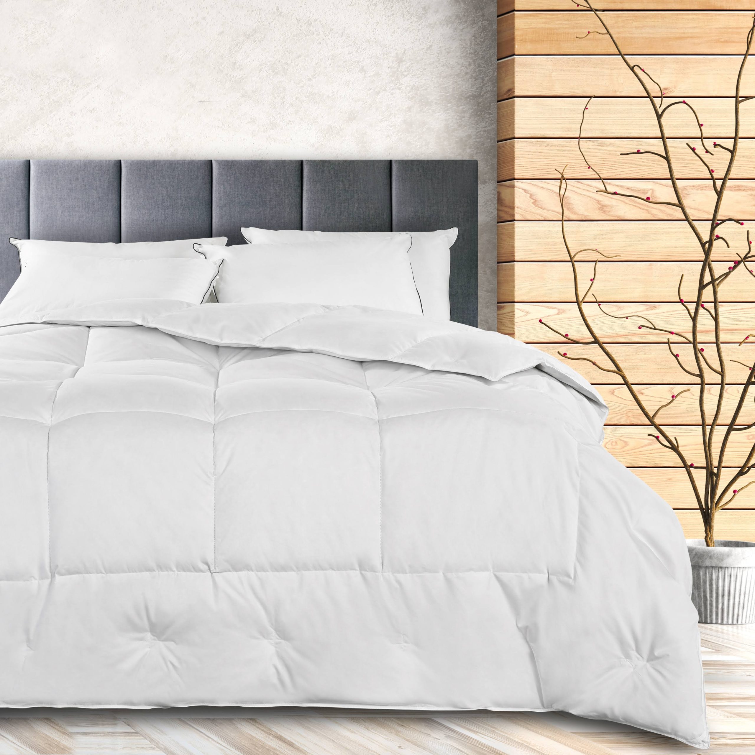 AllerRest Down Comforter King Pacific Coast Feather