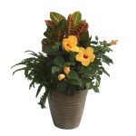 Lowe's Tropical Combo in 3-Gallon (S) Planter | Nursery