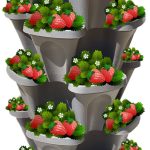 5-Tier Stackable Strawberry Garden ÿ 24 Quart Indoor/Outdoor Stacking Planter with Drip Saucer ÿ Grow Herbs, Strawberries, and Flowers from The