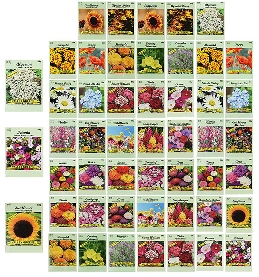 74b7682cf0188bab6d30d6462d3cfe5ccd0101b92cfd674f99b7b3b8991544be.jpg Set of 50 Assorted Flower Seed Packets! Flower Seeds in Bulk - 20+ Varieties Ava - Image 1